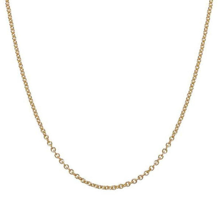 Delicate 14k yellow gold chain necklace, 2mm width.