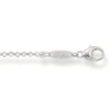 Sterling Silver Chain-Thomas Sabo-Swag Designer Jewelry
