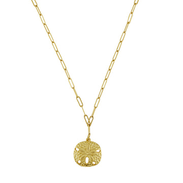 Sand Dollar Pendant on Paper Clip Chain
