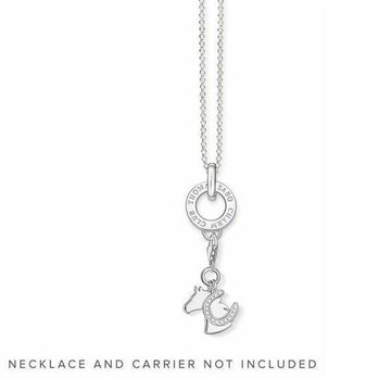 Silver horse & horseshoe charm;  hanging from a circular pendant.
