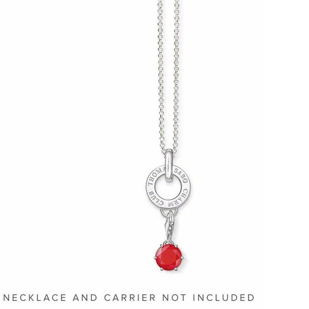 July birthstone charm featuring a vibrant red gemstone pendant
