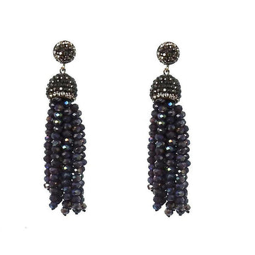 Dark crystal tassel earrings with sparkly accents.
