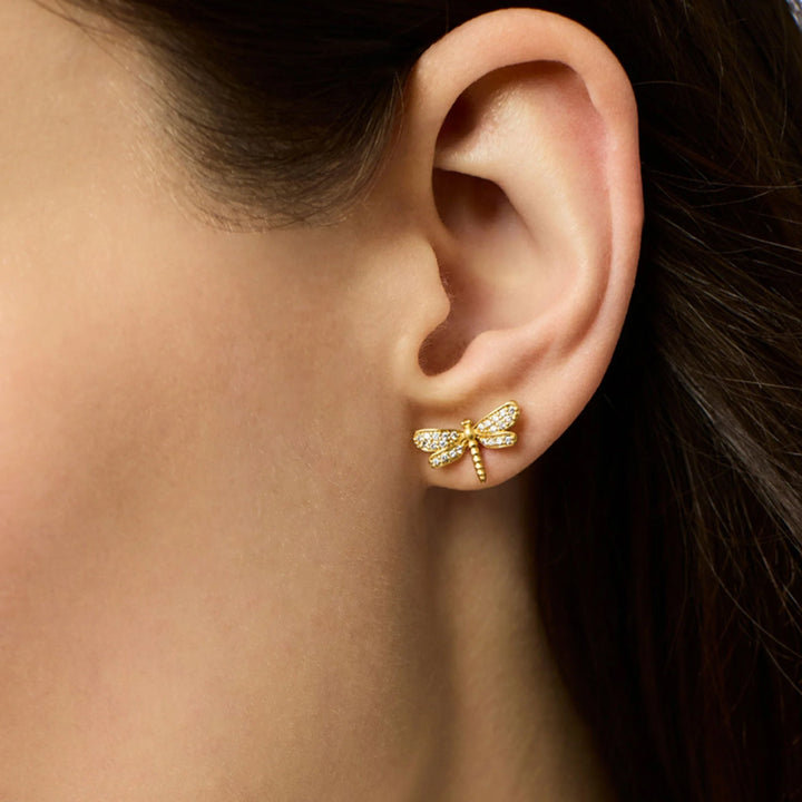 Small 24K gold-plated dragonfly stud earrings featuring delicate pave CZ crystals worn on a pierced earlobe.