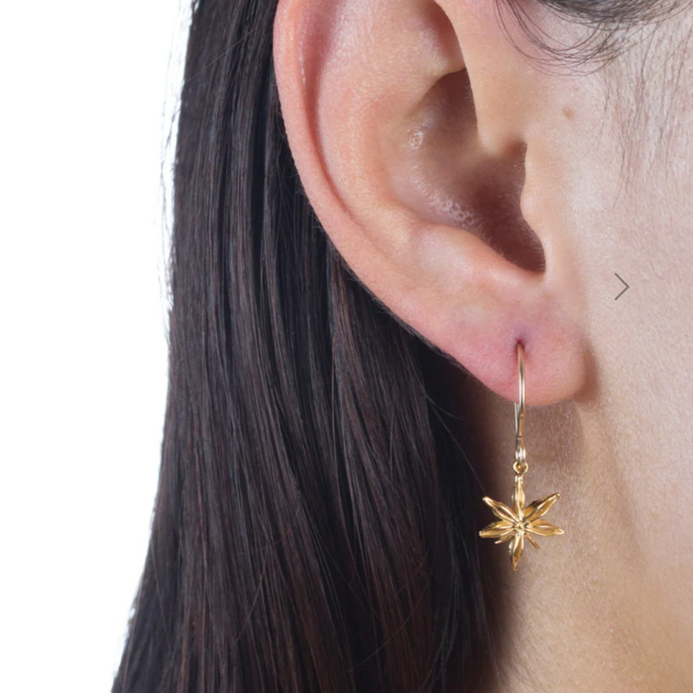 Mini Star Anise Earrings-Catherine Weitzman-Swag Designer Jewelry