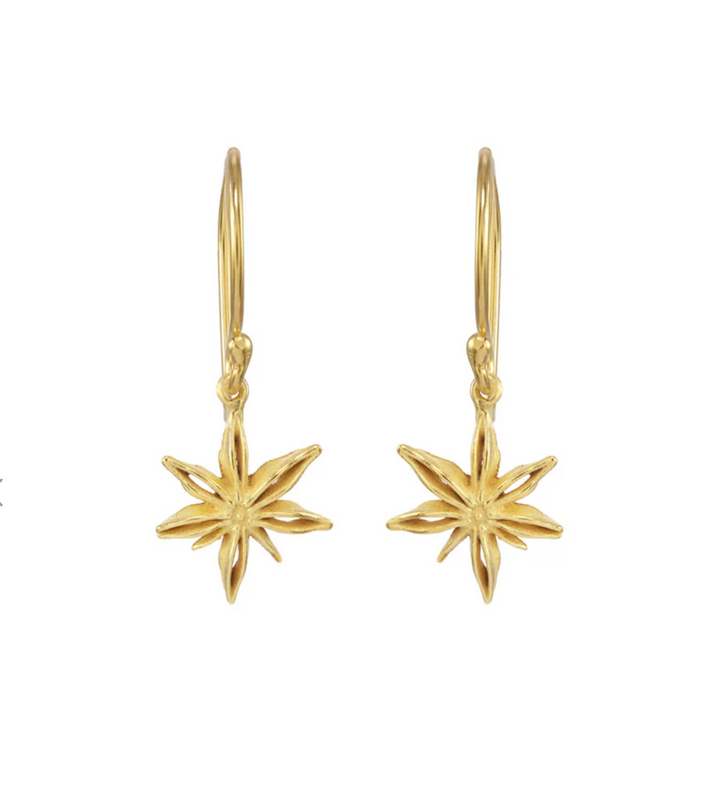 Mini Star Anise Earrings-Catherine Weitzman-Swag Designer Jewelry