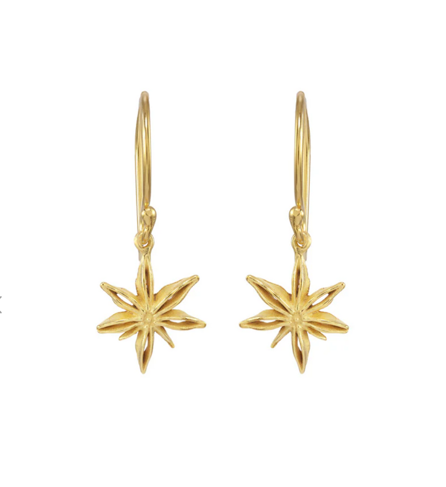 Mini Star Anise Earrings-Catherine Weitzman-Swag Designer Jewelry